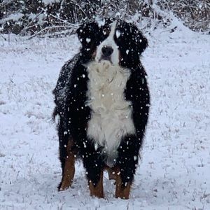 Meet your Posher, Pamela